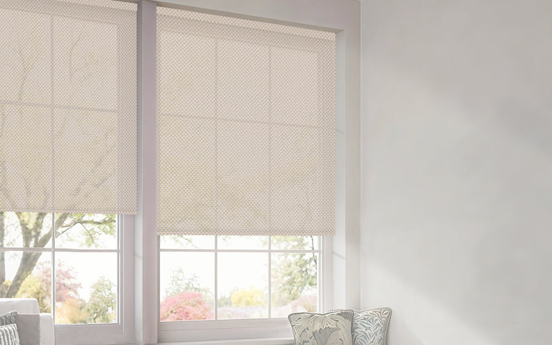 Sunscreen Solar Shades