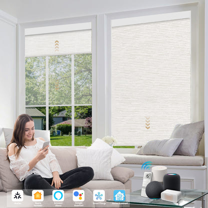 Sunelo Motorized Dual Shades